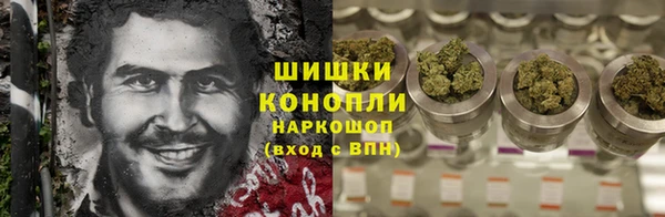 стаф Балахна