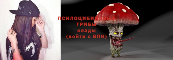 стаф Балахна