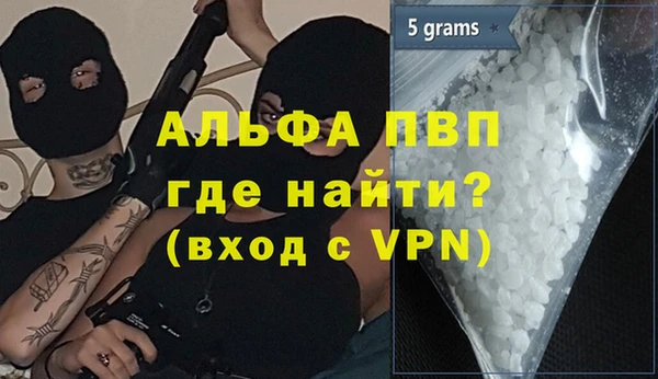 стаф Балахна